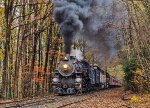 RBMN 425 leads a fall foliage excursion through the woods above Lake Hauto